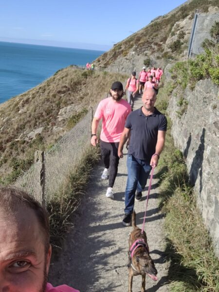 The Panel Bray cliff walk