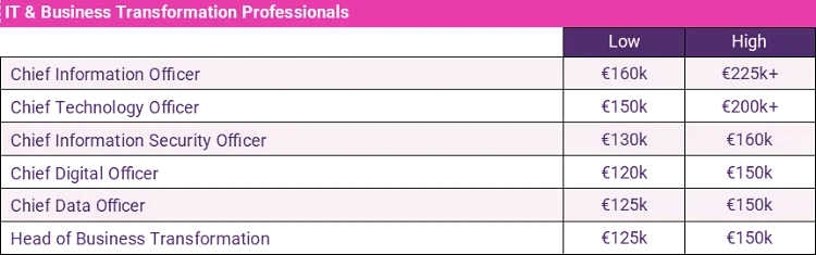 it and business transformation professionals salary guide 2024