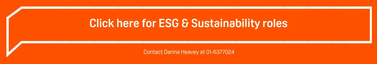 ESG and sustainability roles at the panel 2024