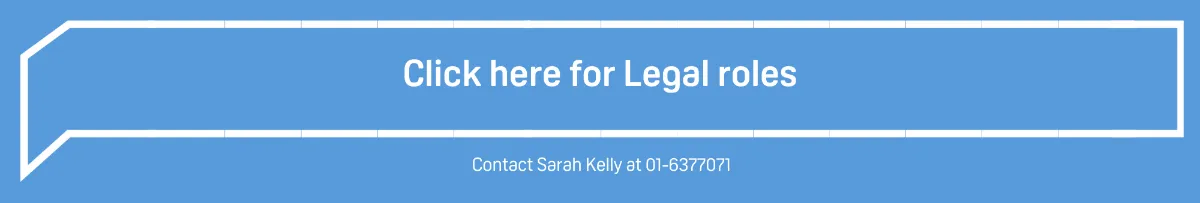 legal roles at the panel 2024